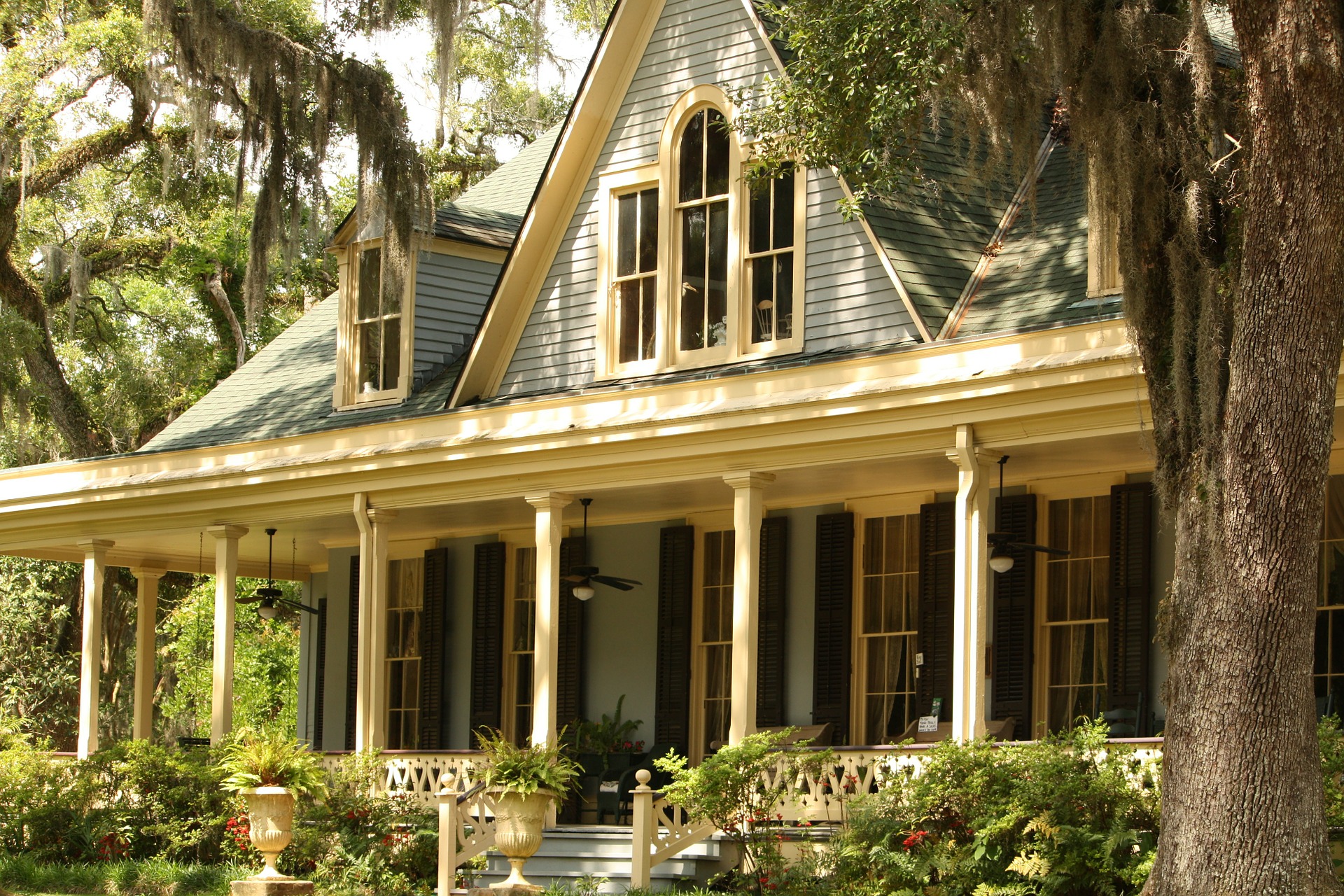 Tree Service of Lafayette Image